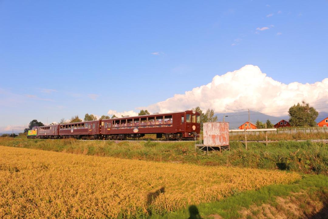 Photo of Others in Nakafurano