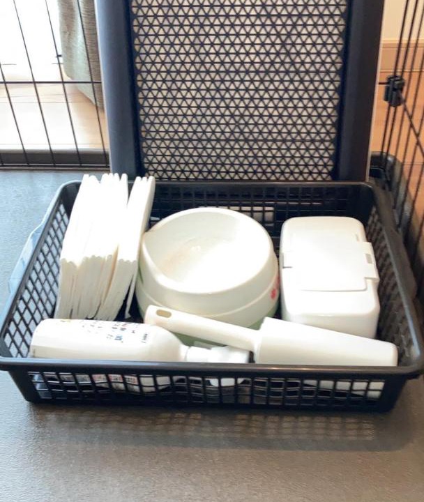 Photo of Others in Ichinomiya