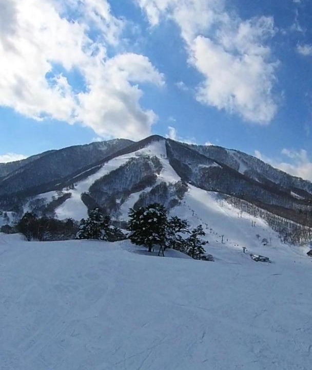 Photo of Others in Madarao Mountain Resort