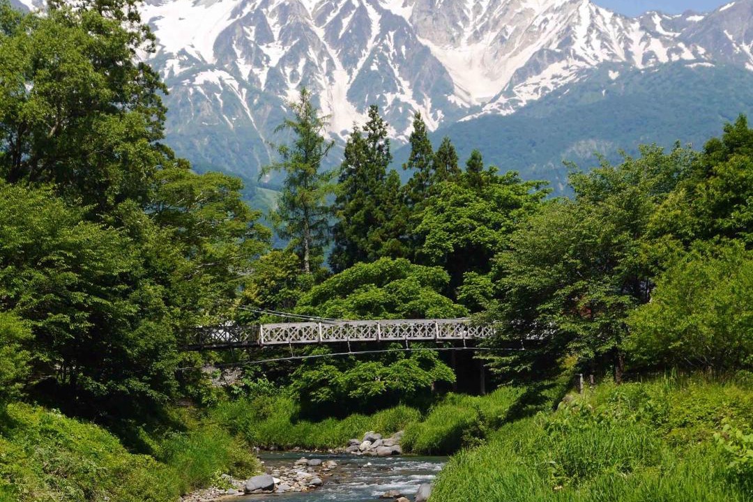 Photo of Others in Hakuba
