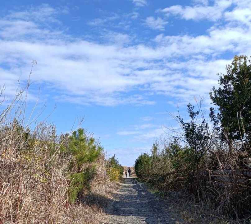 Photo of Others in Ichinomiya