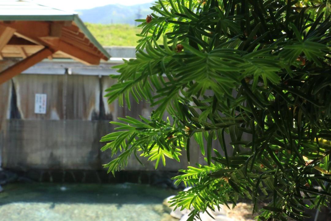 Photo of Others in Yudanaka Shibu Onsen