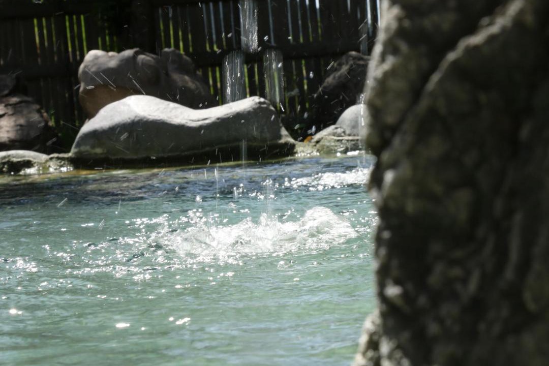 Photo of Others in Yudanaka Shibu Onsen