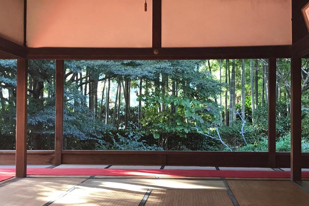 Photo of Others in Ohara