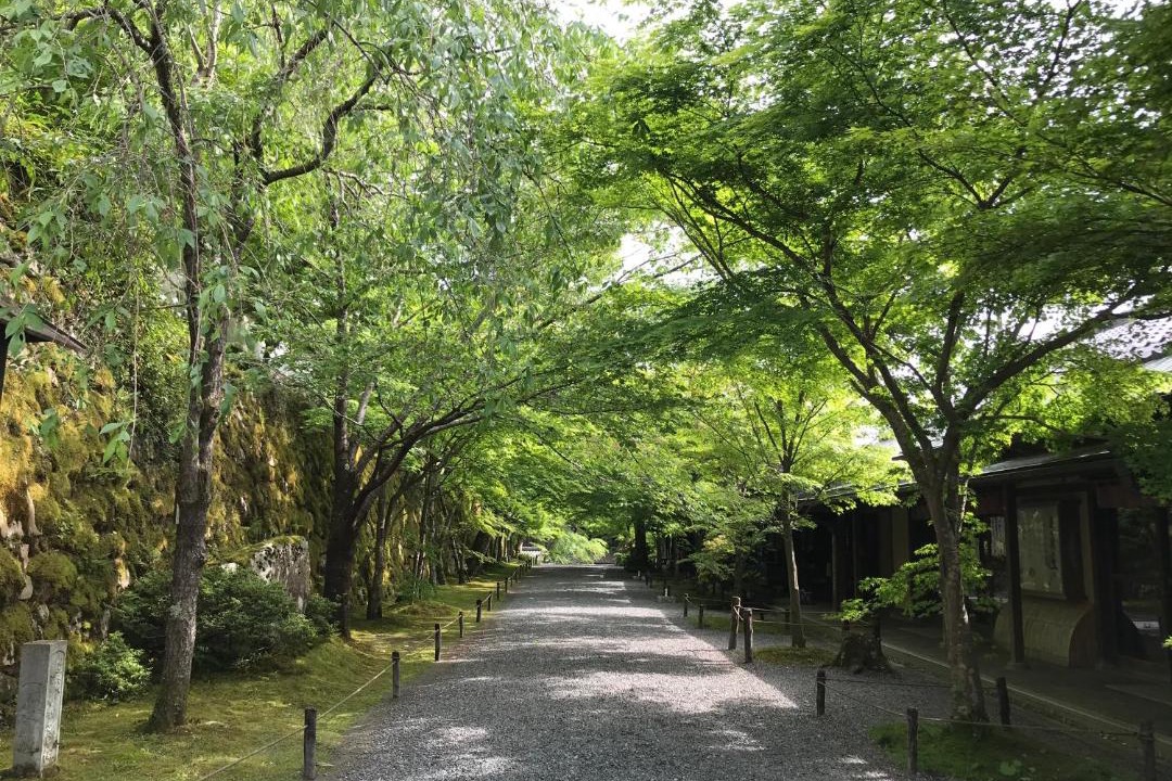 Photo of Others in Ohara