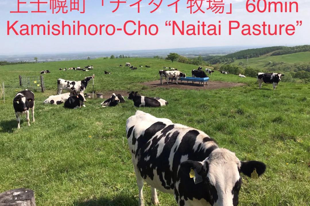 Photo of Others in Obihiro