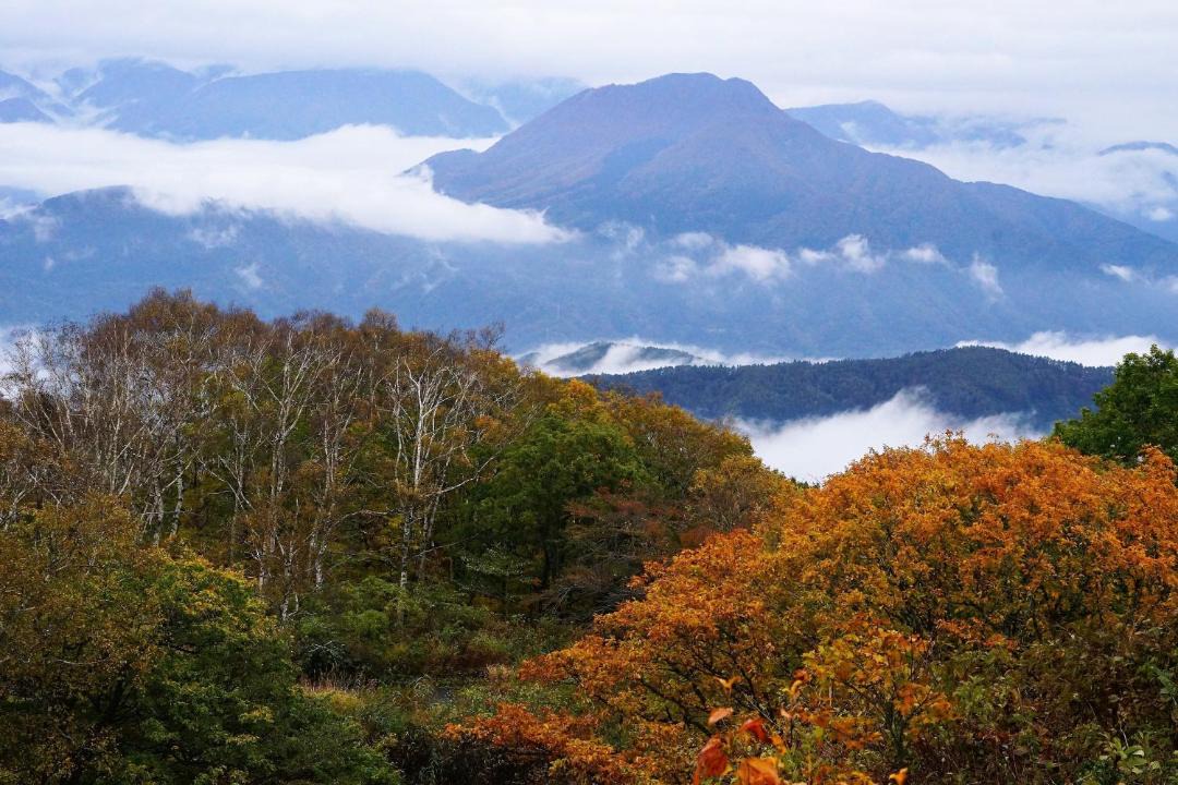 Photo of Others in Madarao Mountain Resort