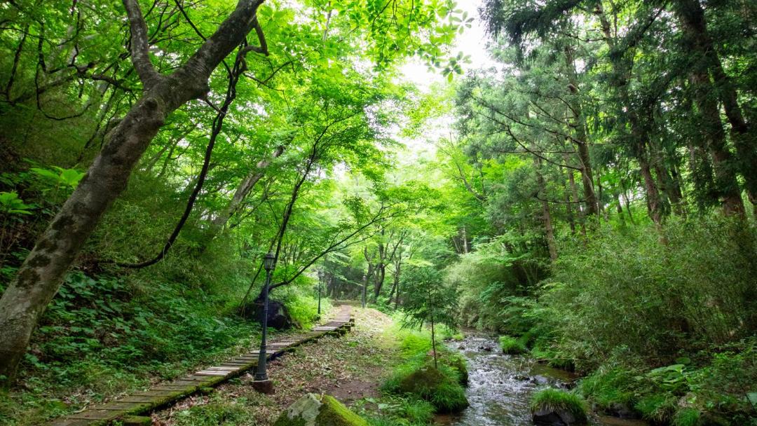 Photo of Others in Nasu