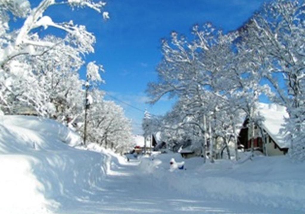 Photo of Others in Madarao Mountain Resort