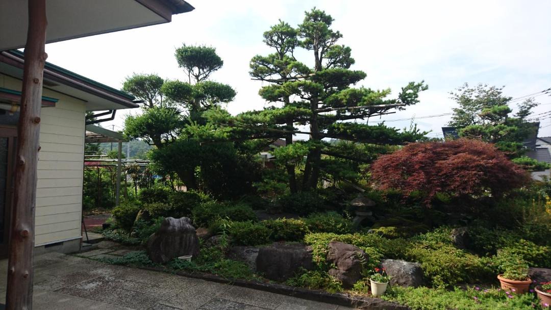 Photo of Others in Narusawa