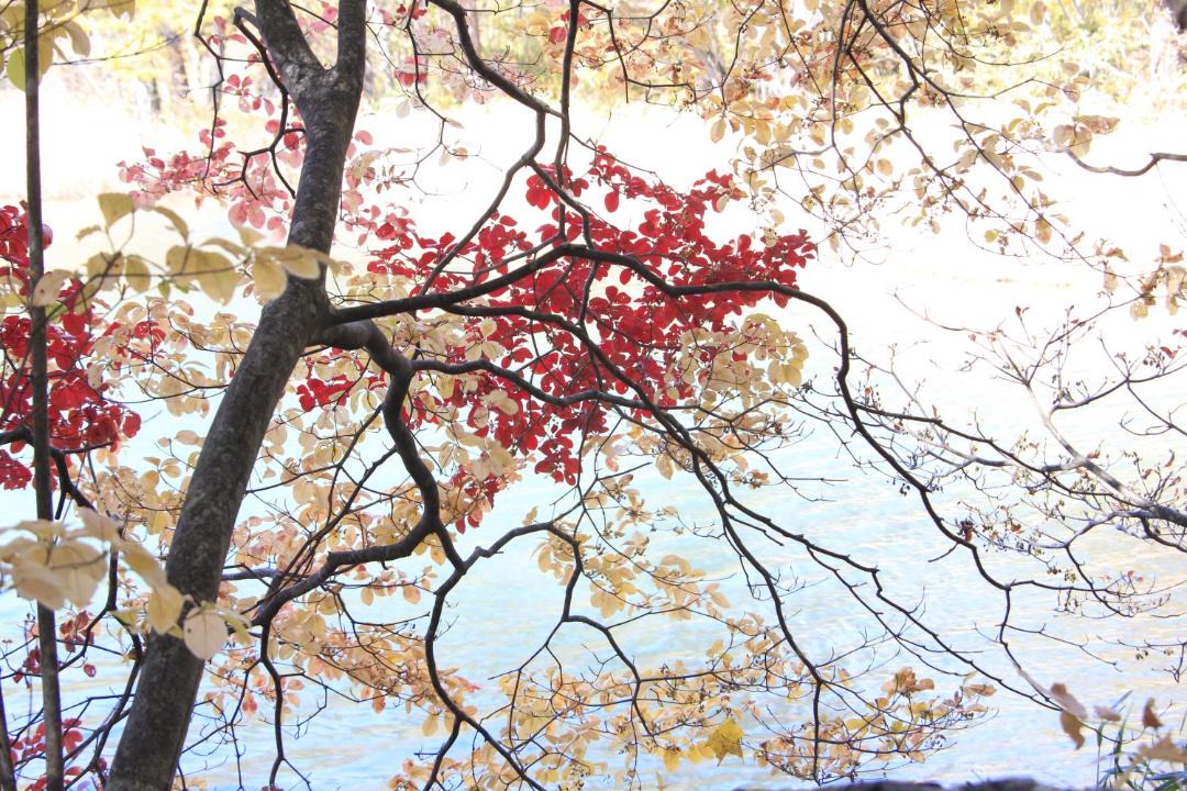 Photo of Others in Kitashiobara