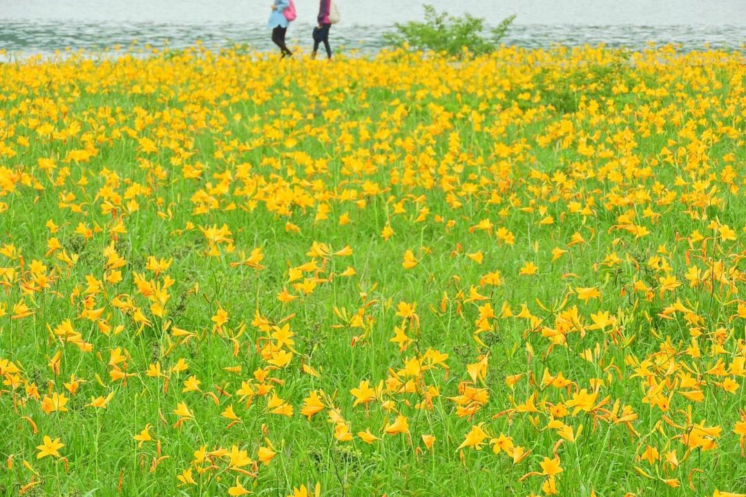 Photo of Others in Kitashiobara