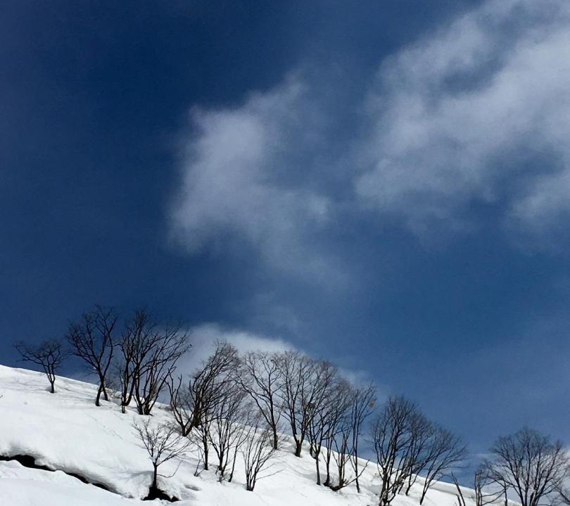 Photo of Others in Otari-mura