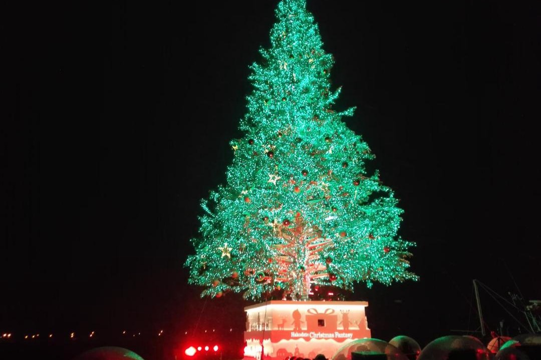 Photo of Others in Hakodate
