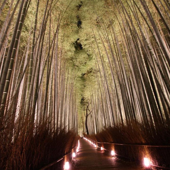 Photo of Others in Arashiyama