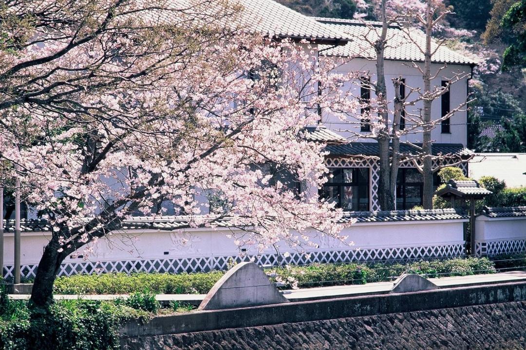 Photo of Others in Matsuzaki