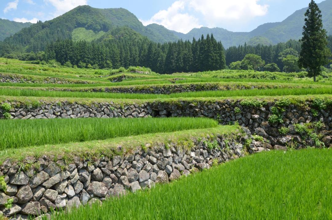 Photo of Others in Iiyama