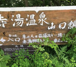 Naeba Ski Resort Fuji Rock 
