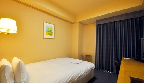 Single Room, Non Smoking
