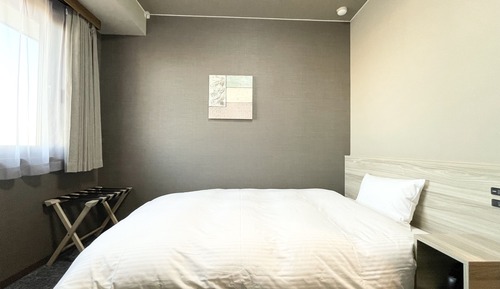 Single Room, Non Smoking