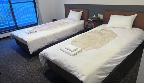 Economy Twin Bed Room [3rd floor, No elevator, Mountain side] Non-smoking