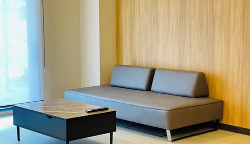 Luxury Studio Suite