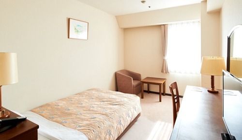 Single Room, Non Smoking