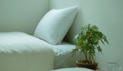 Japanese Style Room with Twin bed, Non Smoking