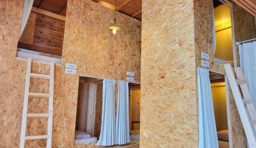 Bunk Bed in Mixed Dormitory Room