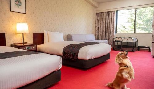 Classic Room with Two Single Beds and One Sofa Bed - Dog-Friendly