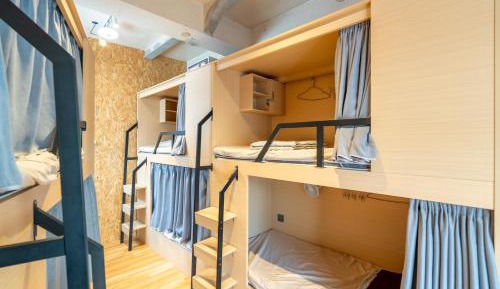 Bunk Bed in Mixed Dormitory Room