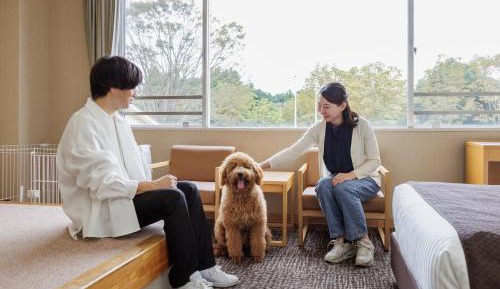 Dog Friendly room, Standard Twin room with private bathroom