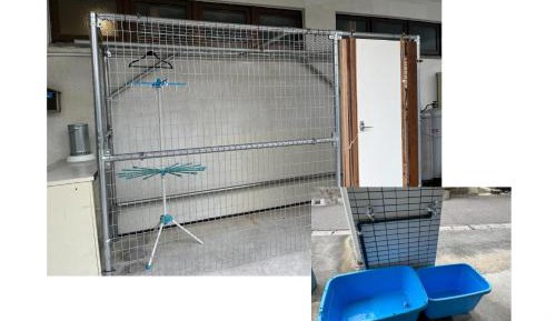 Bunk Bed in Female Dormitory Room  