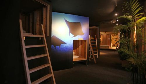 【Men Only】 Bunk Room