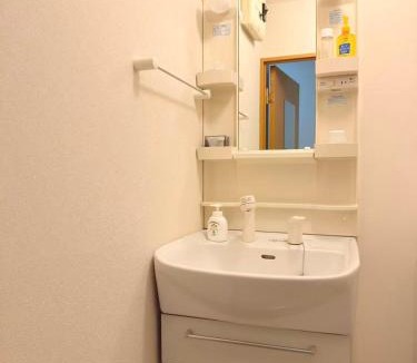 Shinkoiwa Apartment | 日本の下町新小岩デメテル202