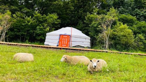 Gujo Other | Mini Mongolian Campsite - Vacation STAY 55337v