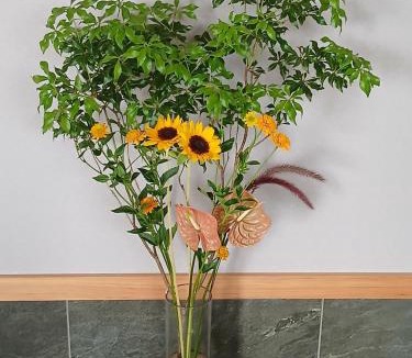 Fuji Apartment | Iris Nest Fuji 伝法
