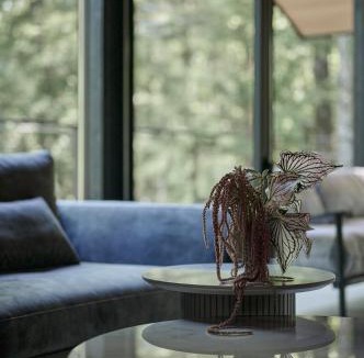 Tsumagoi Villa | Asama Hideaway 北軽井沢