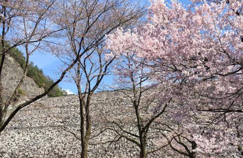 Asago House | Hatake no Oyado - Vacation STAY 74494v