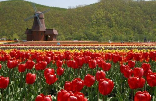 Monbetsu Hotel | Hotel Okhotsk Palace - Vacation STAY 24147v