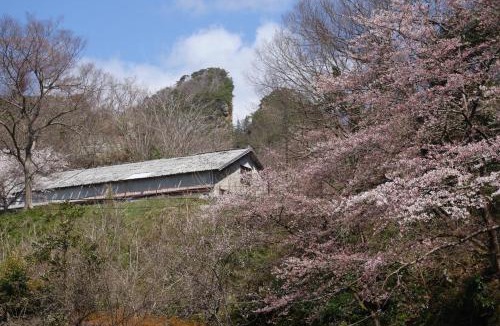 Sado Hotel | Natural Mind Tour - Vacation STAY 56703v