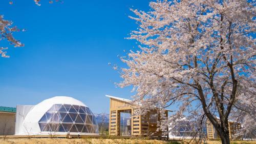 Murayama Other | yamagata glam