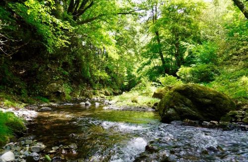 Okutama House | UTATANE Tokyo's Hidden Countryside Retreat, 90 minutes from Shinjuku