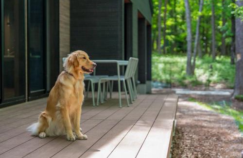Tsumagoi House | COCO VILLA 北軽井沢 02-Dog Stay