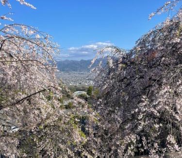 Kofu House | 天然温泉付 一棟貸し最大12名 近隣施設事前予約で バーベキュー 花火 和羽灯屋 ナウヒヤ