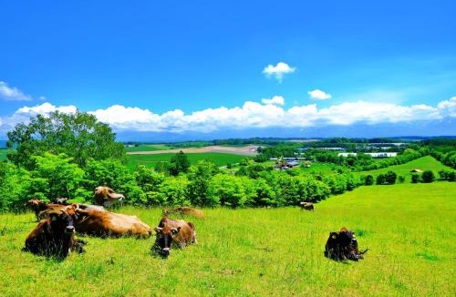 Higashikawa Villa | Villa HIGASHIKAWA -Hokkaido-
