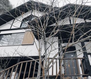Tsumagoi House | Rock Villa Karuizawa - Mountain View Forest Retreat Built on Rock
