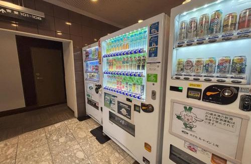 Ageo Hotel | Hotel Route-Inn Ageo