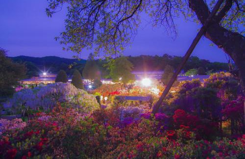 Ashikaga Hotel | Hotel Wakasa