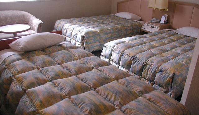 Tsubame Sanjo Washington Hotel